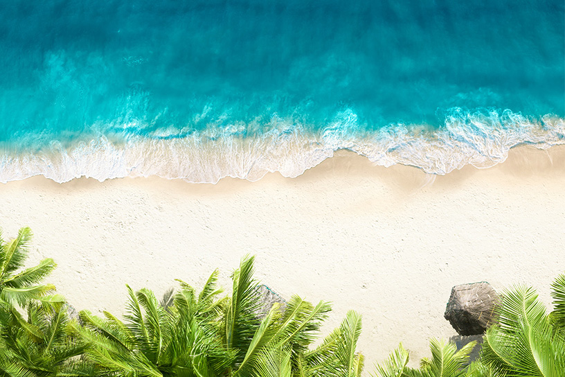 image depicting palm trees encircling a pool overlooking the Carribean